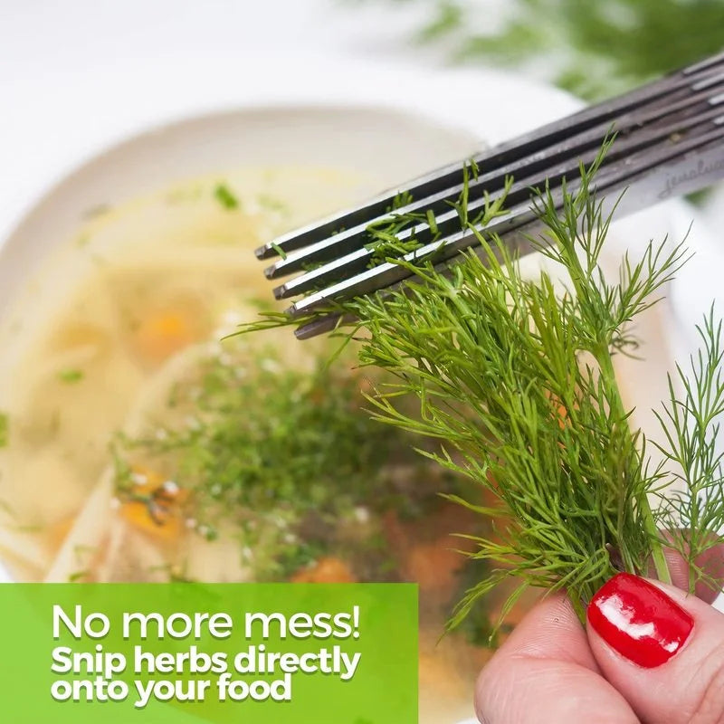 5-Blade Multi-Layer Herb Scissors | Stainless Steel Scallion & Vegetable Cutter