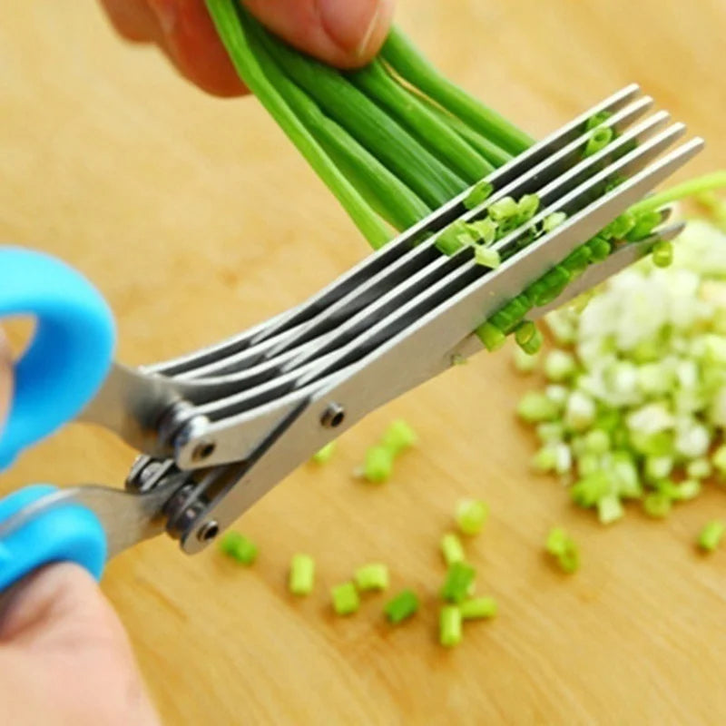 5-Blade Multi-Layer Herb Scissors | Stainless Steel Scallion & Vegetable Cutter